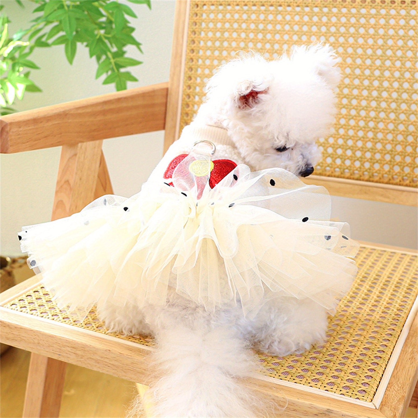 Dog Winter Princess Dress