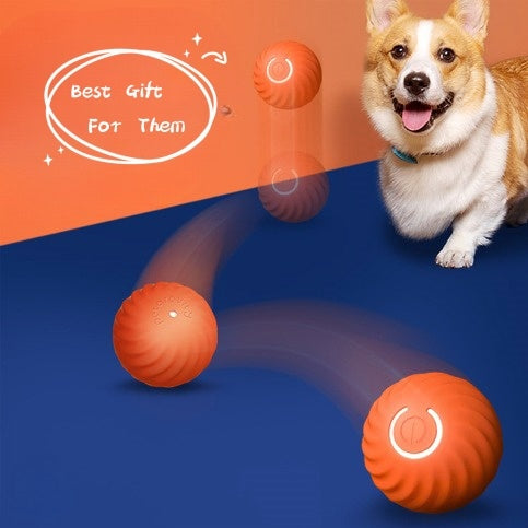 Fantastic Bite-Resistant Rubber Ball for Dogs – Perfect for Training & Chewing