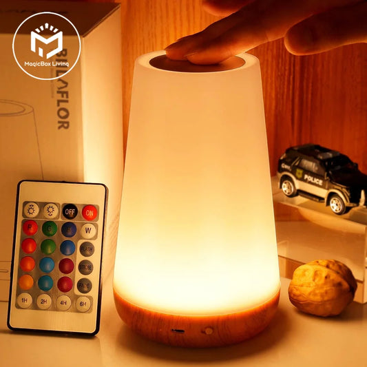 RGB 13-Color Touch Night Light