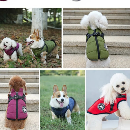 Incredible Waterproof Winter Dog Jacket with Harness