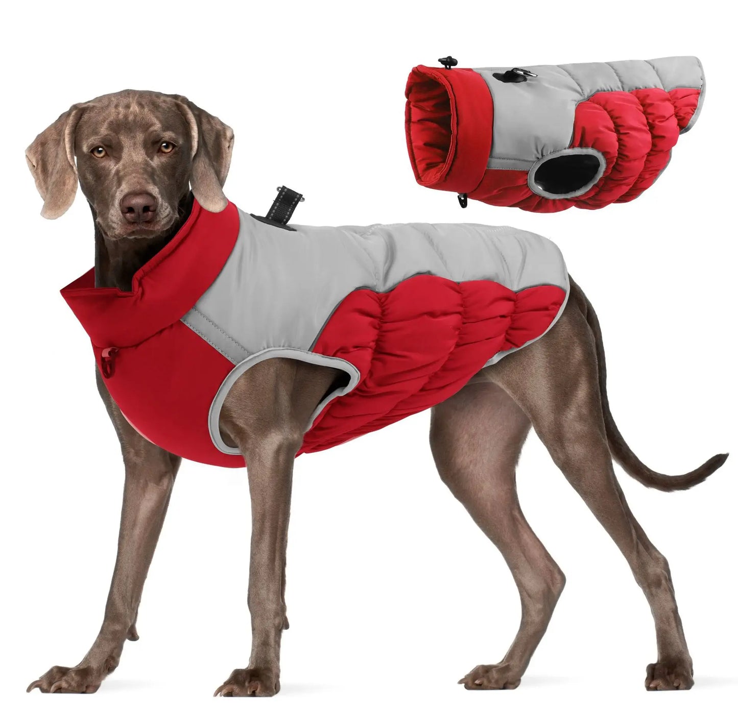 Dog Winter Jacket medium to large breeds