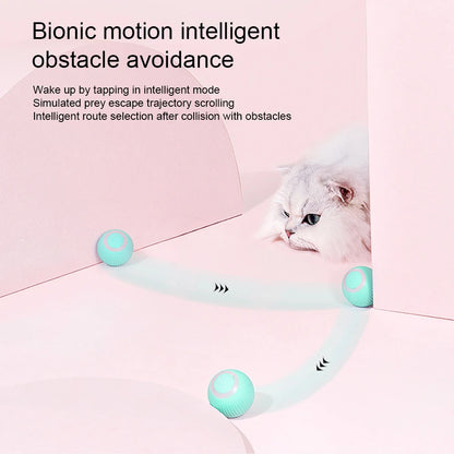 Interactive 360° Rolling Cat Toy Ball – USB Rechargeable Chase Toy for Kittens