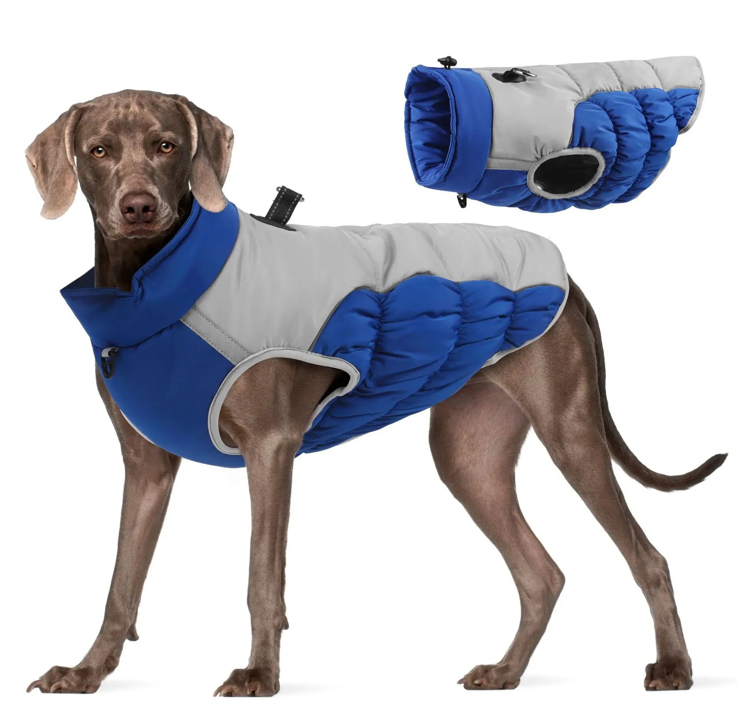 Dog Winter Jacket medium to large breeds