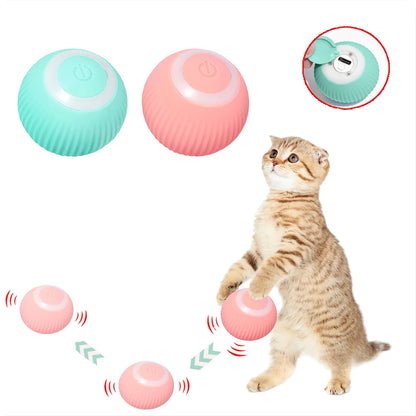 Interactive 360° Rolling Cat Toy Ball – USB Rechargeable Chase Toy for Kittens