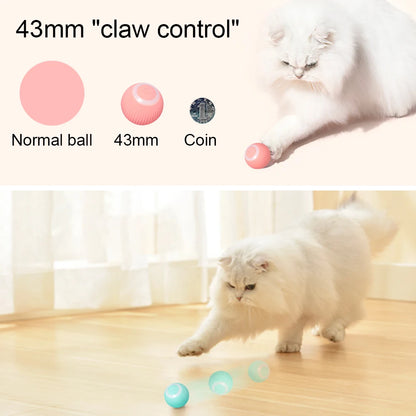Interactive 360° Rolling Cat Toy Ball – USB Rechargeable Chase Toy for Kittens