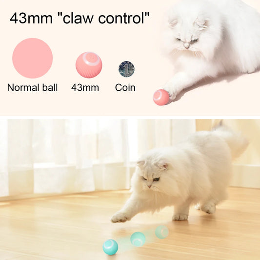 Interactive 360° Rolling Cat Toy Ball – USB Rechargeable Chase Toy for Kittens