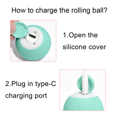 Interactive 360° Rolling Cat Toy Ball – USB Rechargeable Chase Toy for Kittens
