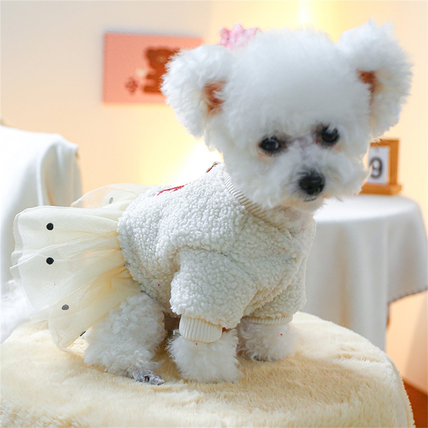 Dog Winter Princess Dress