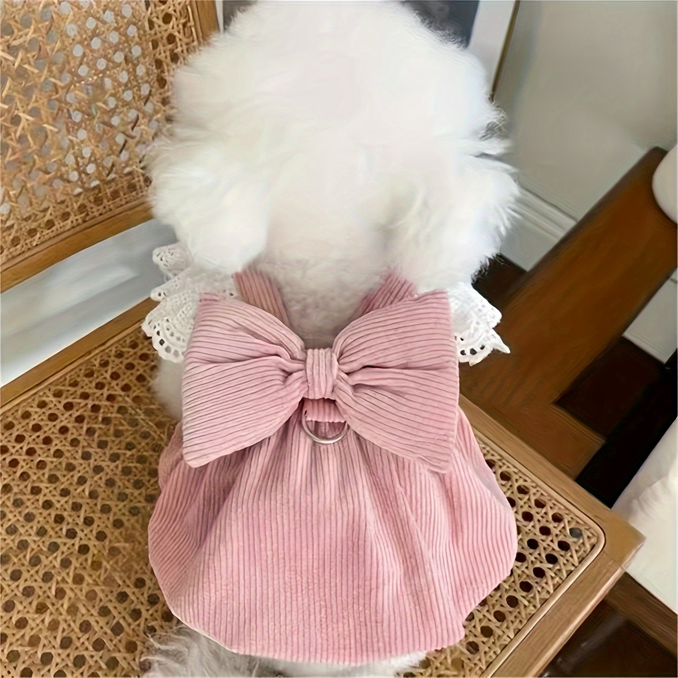 Pink Pumpkin Pet Costume Dress